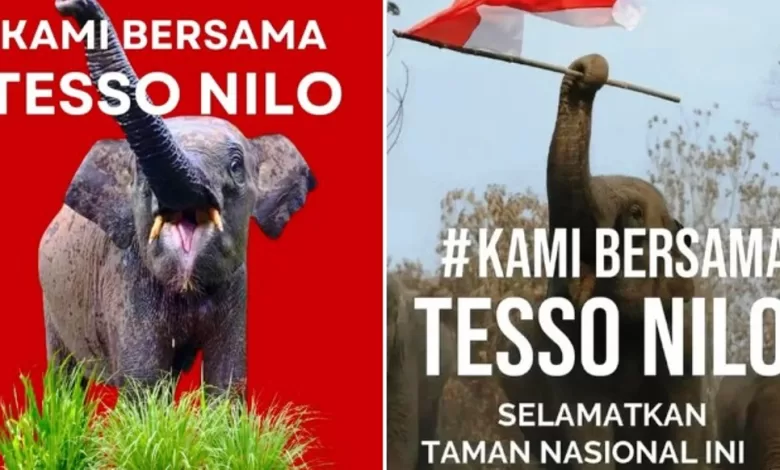 Taman Nasional Tesso Nilo