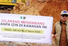 tambang ilegal Berau