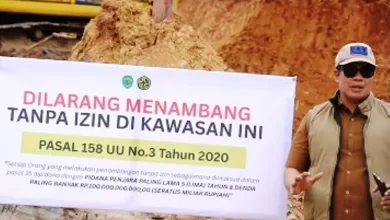 tambang ilegal Berau