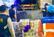 burung ilegal kaltim