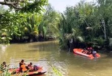 diterkam buaya paser