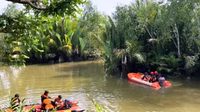 diterkam buaya paser