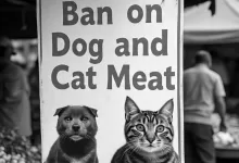 larangan daging anjing Kaltim