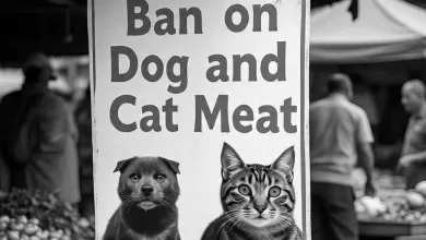 larangan daging anjing Kaltim