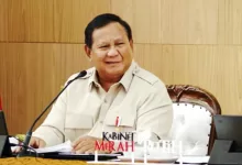 setahun program MBG