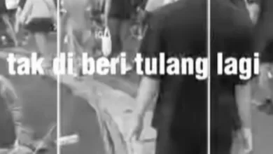 Tak Diberi Tulang Lagi
