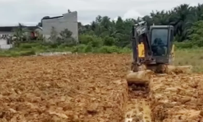 pisang kepok gerecek