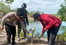 Penanaman pohon muara kaman
