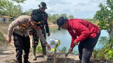 Penanaman pohon muara kaman