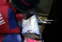 damkarmatan kukar ular kobra