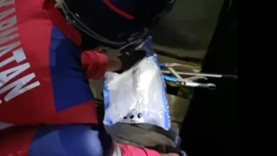 damkarmatan kukar ular kobra