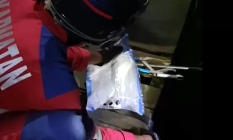 damkarmatan kukar ular kobra