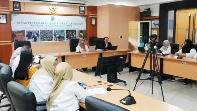 pelarangan perdagangan daging anjing dan kucing Kaltim