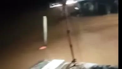 serangan buaya Anggana