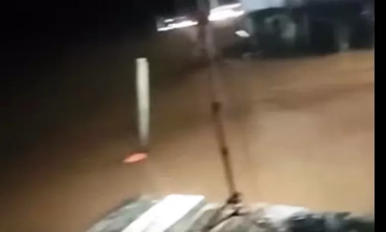 serangan buaya Anggana