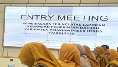 Audit LKPD PPU 2025