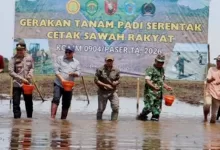 cetak sawah rakyat