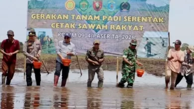 cetak sawah rakyat
