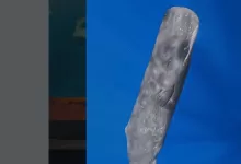 paus sperma Maratua