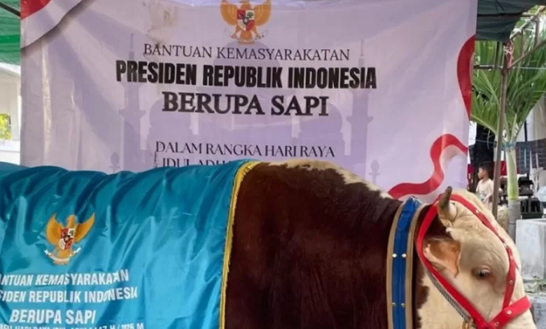 sapi prabowo