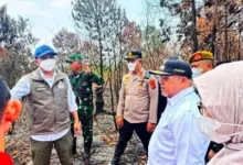 menhut berau