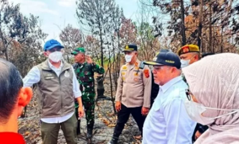 menhut berau