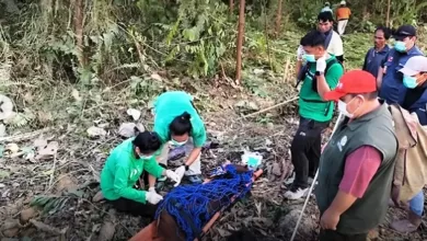 orangutan kaltim