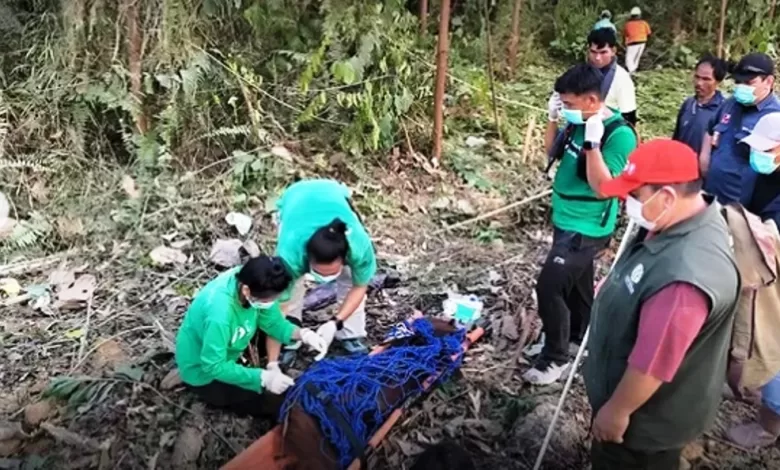 orangutan kaltim