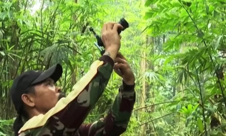 dibayar untuk foto satwa liar
