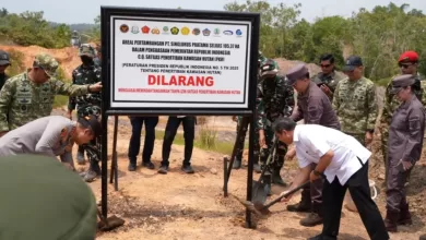 PT Singlurus Pratama