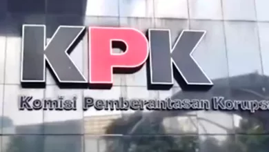ott bnpb